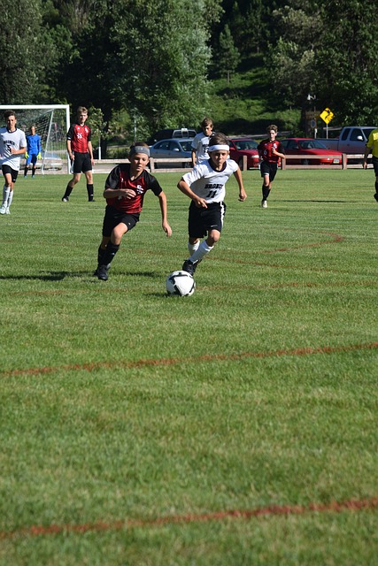 为观众奉献 为观众奉献