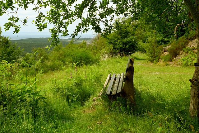 表现抢眼 表现抢眼