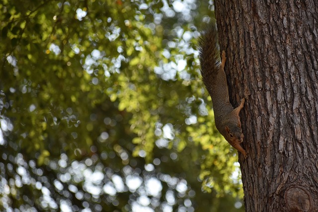 管理层更应 管理层更应