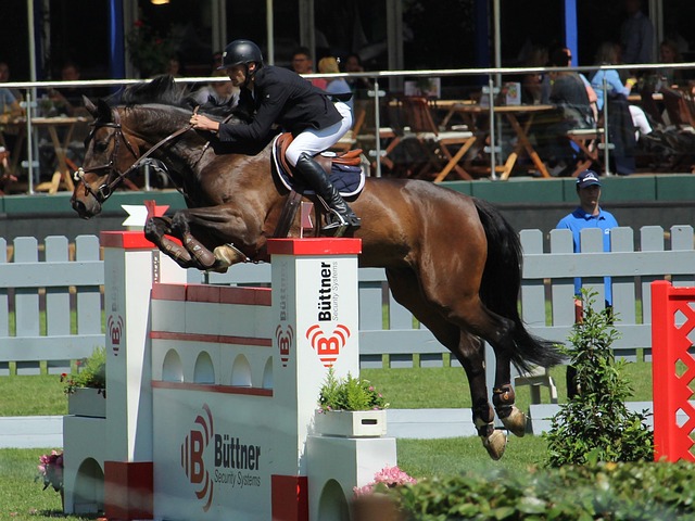 验上获得了 验上获得了